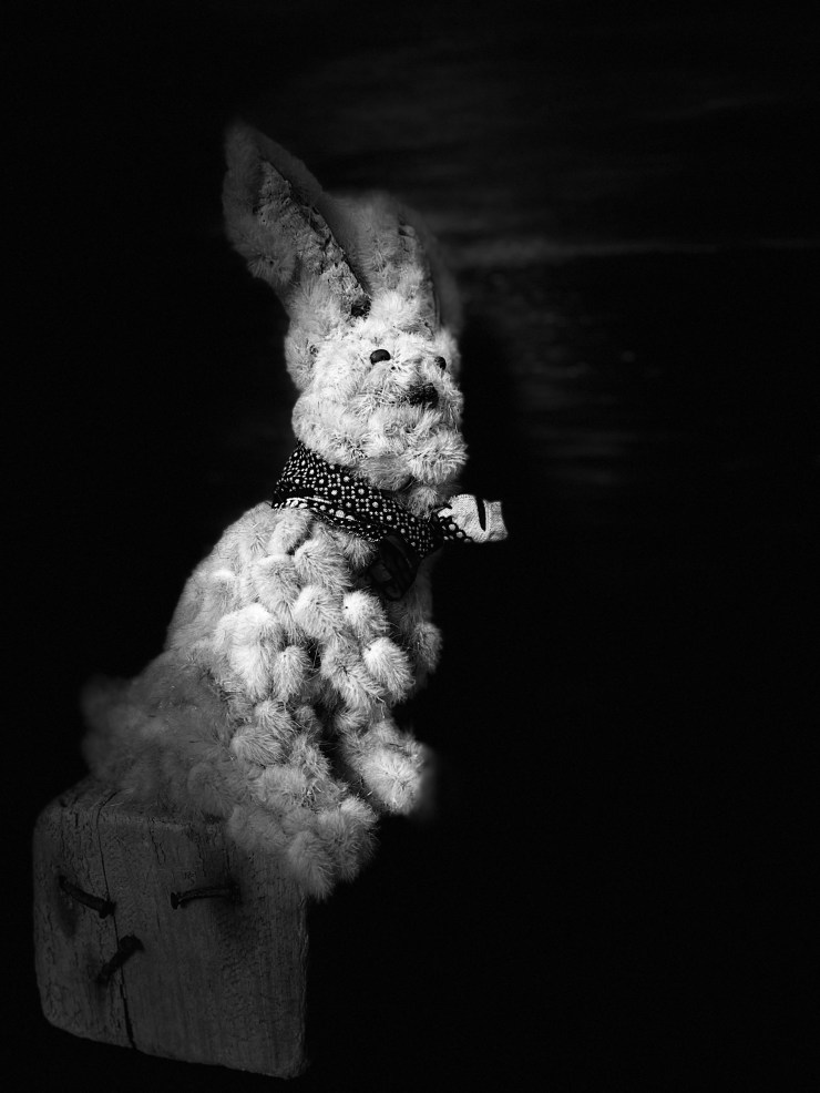 Bois flotté, Lagure ovale